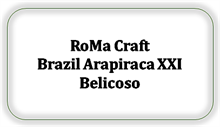 RoMa Craft Brazil Arapiraca XXI Belicoso